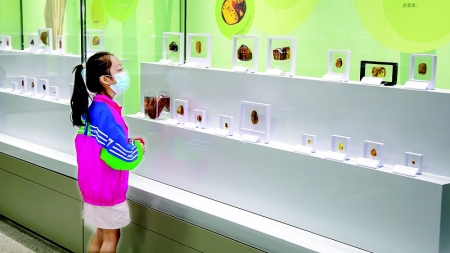 <br>          虫珀里的“微缩世界”吸引着孩子们的目光 图片由山西博物院提供<br><br>        