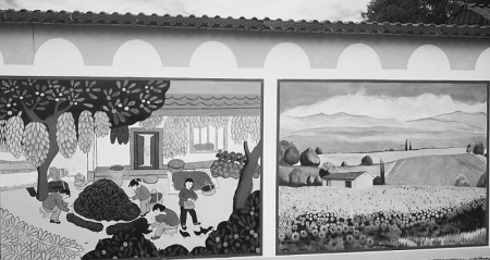 <br>          墙体彩绘扮靓了乡村 本组图片均由吕梁学院宣传部提供<br><br>        